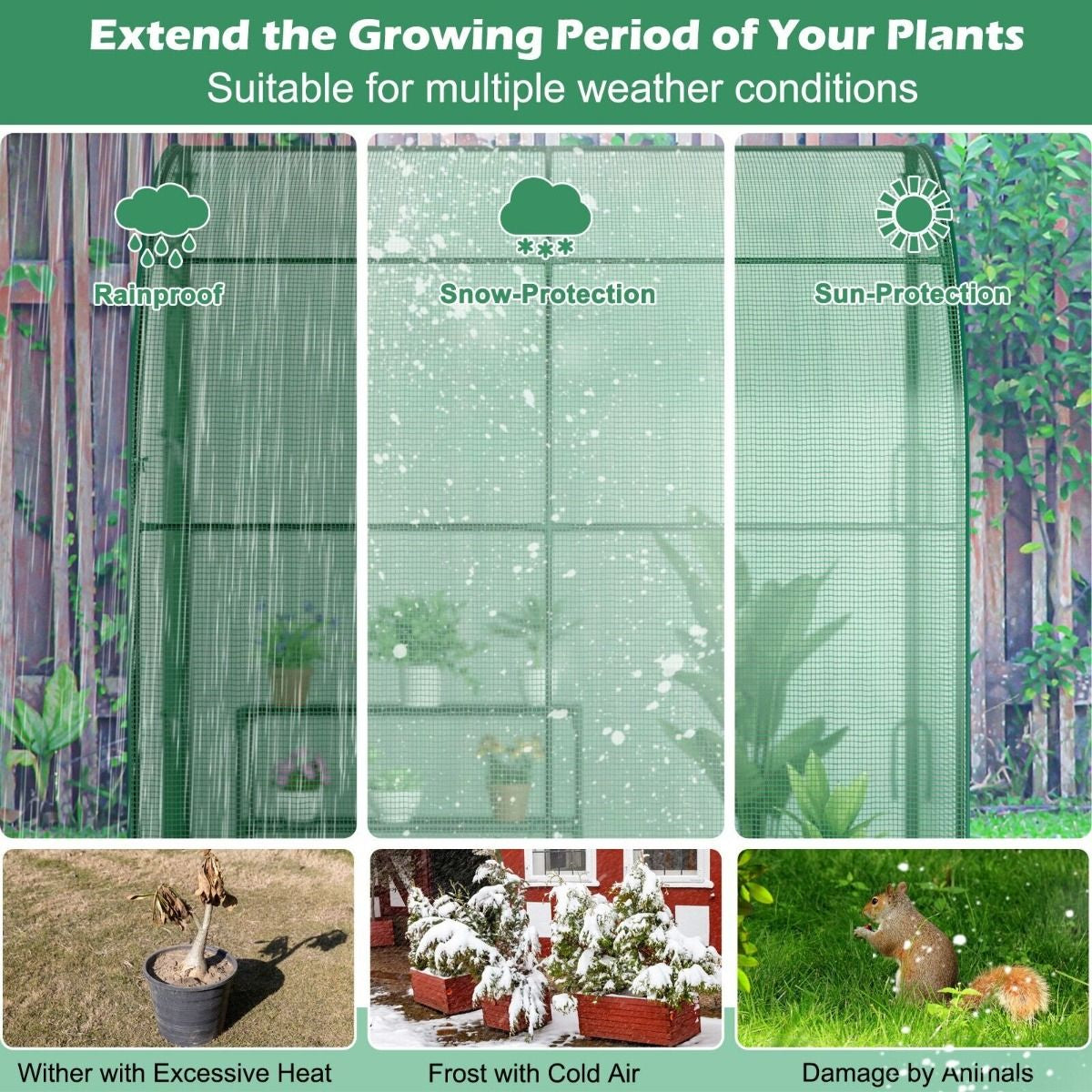 200 X 100 X 215Cm Walk in Greenhouse with 3-Tier Plant Stand