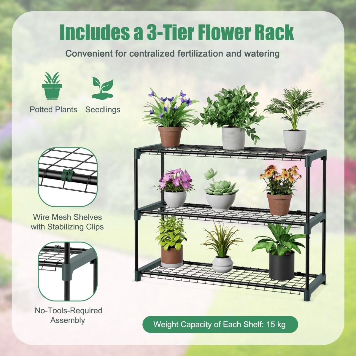 200 X 100 X 215Cm Walk in Greenhouse with 3-Tier Plant Stand